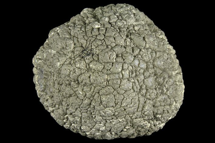 Natural Pyrite Concretion - China #104721